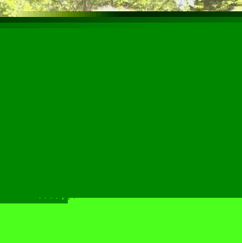 Cindy Harris Photo 38