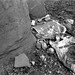 Fred Graves Photo 11