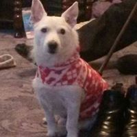 Toby Ball Photo 3