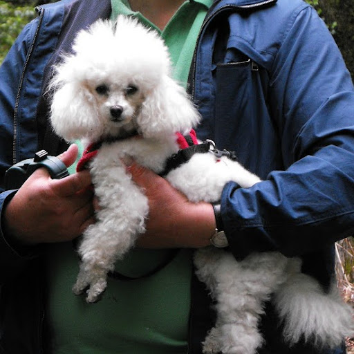 Ron Patterson Photo 47 Ron Patterson Photo 47