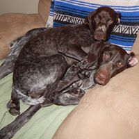 Sandy Harmon Photo 14