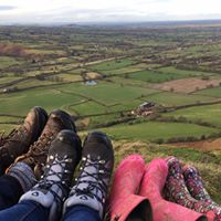 Suzanne Levine Photo 21