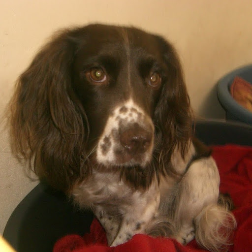 Kathleen Phelan Photo 19