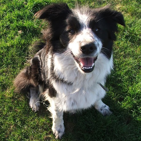 Vicki Walker Photo 12