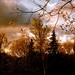 Lisa Shields Photo 37