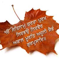Manjinder Kaur Photo 18