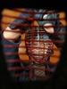 Sam Tsai Photo 21