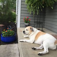 Cynthia Bowling Photo 26