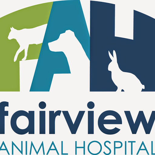 Stacey Mcknight Photo 6