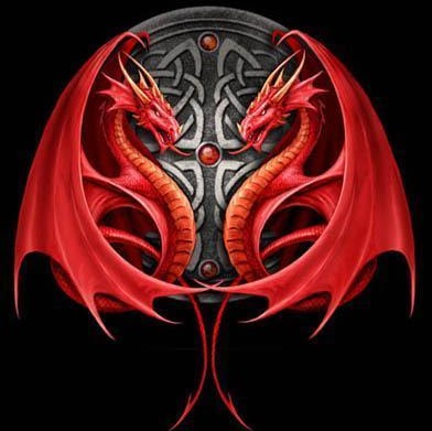 Kelly Mcmillan Photo 38