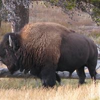 Kathleen Stout Photo 22