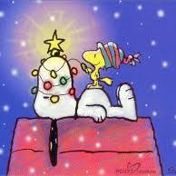 Terri Harding Photo 15