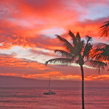 Kathy Green Photo 32