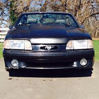 Craig Hammon Photo 9