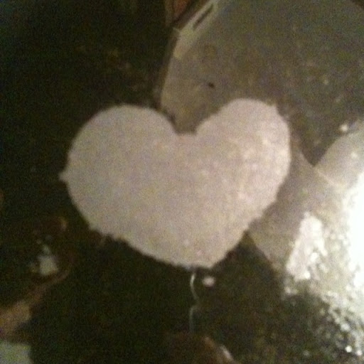 Shannon Pennington Photo 8