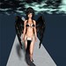 Angel Zhao Photo 26