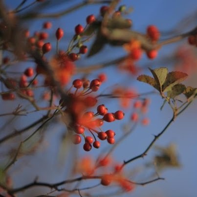 Jie Cheng Photo 30