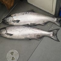 Charles Beyer Photo 19