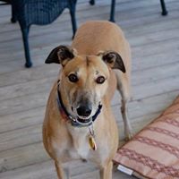 Christine Lindsay Photo 13