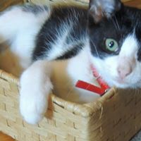 Sara Callahan Photo 19