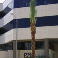 Richard Weaver Photo 44