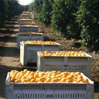 Jason Willard Photo 41