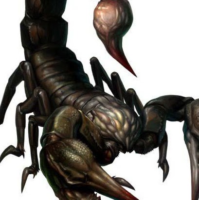 Jimmy Franklin Photo 16