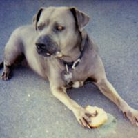 Forrest Fleming Photo 6