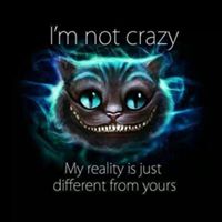 Rachel Collier Photo 32