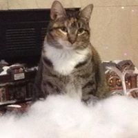 Andrea Horn Photo 35