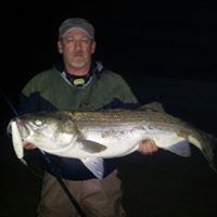 William Couch Photo 11