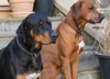 Nancy Farlow Photo 6