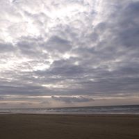 Claire Marchand Photo 25