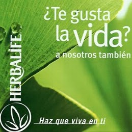 Ruth Cardoza Photo 4