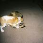 Rick Roberson Photo 23