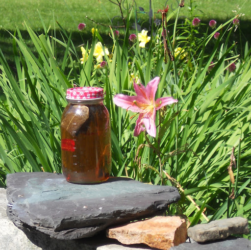 Nancy Eaton Photo 24