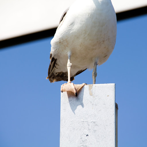 Kimberly Bowen Photo 5