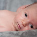 Eduardo Muniz Photo 19