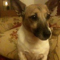 Alison Webster Photo 10