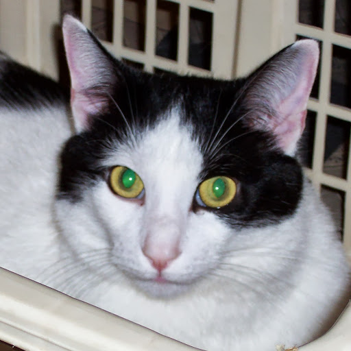 Paul Fields Photo 24