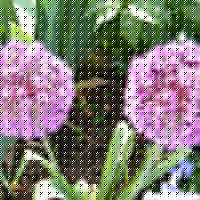 Timothy Bain Photo 12