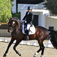 Sheryl Stein Photo 26