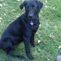 Julie Gooch Photo 27