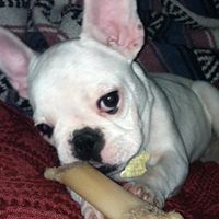 Julie Haskell Photo 10