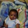 Jay Booker Photo 24