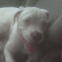 Ralph Varela Photo 6