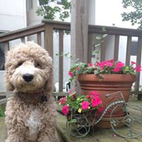 Barbara Waldman Photo 11