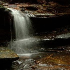 Andrew Roland Photo 40