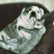 Daniel Creech Photo 3