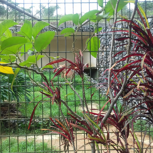 Maurilio Campos Photo 6